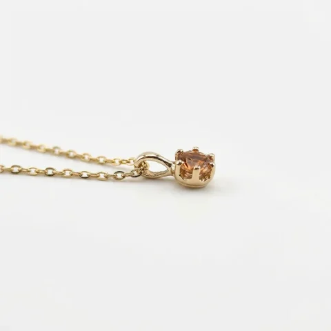 Medalion din aur 14K Nova